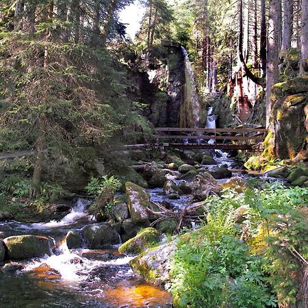 C4 Albmatte-Fewo Sauna, Hallenbad Aussenbecken Massagen Nebenan Menzenschwand-Hinterdorf Buitenkant foto