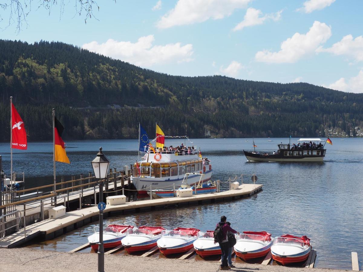 C4 Albmatte-Fewo Sauna, Hallenbad Aussenbecken Massagen Nebenan Menzenschwand-Hinterdorf Buitenkant foto