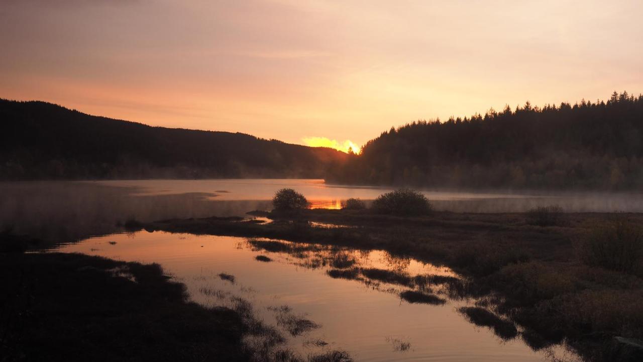 C4 Albmatte-Fewo Sauna, Hallenbad Aussenbecken Massagen Nebenan Menzenschwand-Hinterdorf Buitenkant foto