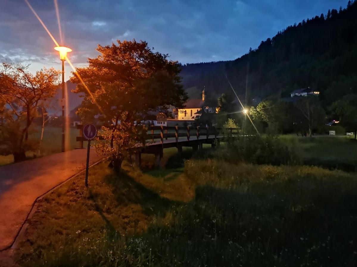 C4 Albmatte-Fewo Sauna, Hallenbad Aussenbecken Massagen Nebenan Menzenschwand-Hinterdorf Buitenkant foto