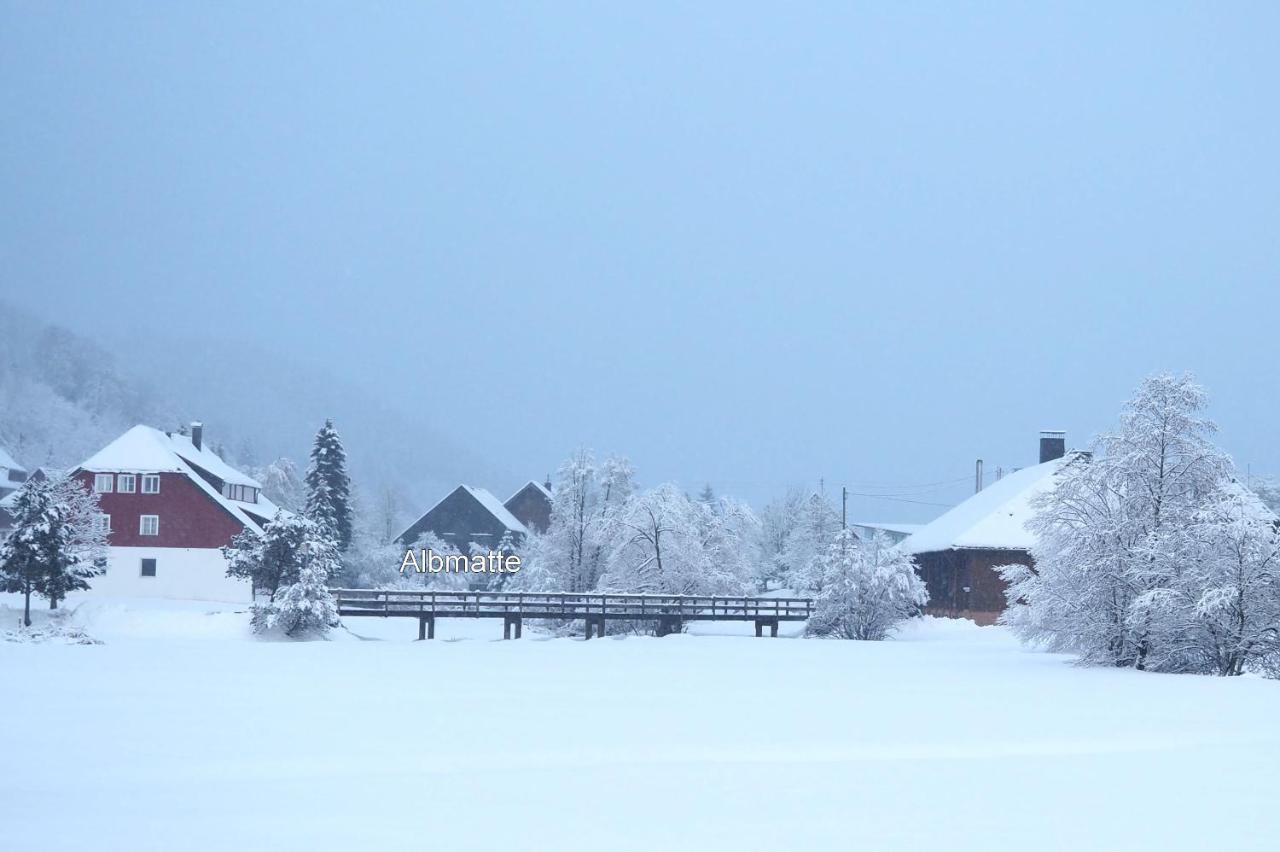 C4 Albmatte-Fewo Sauna, Hallenbad Aussenbecken Massagen Nebenan Menzenschwand-Hinterdorf Buitenkant foto