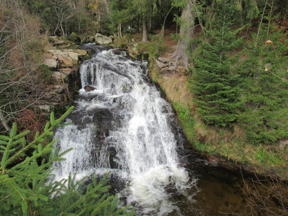 C4 Albmatte-Fewo Sauna, Hallenbad Aussenbecken Massagen Nebenan Menzenschwand-Hinterdorf Buitenkant foto