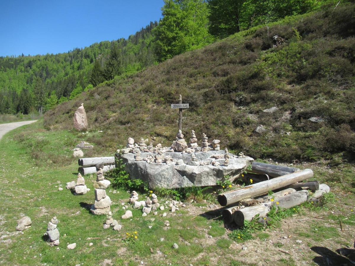 C4 Albmatte-Fewo Sauna, Hallenbad Aussenbecken Massagen Nebenan Menzenschwand-Hinterdorf Buitenkant foto