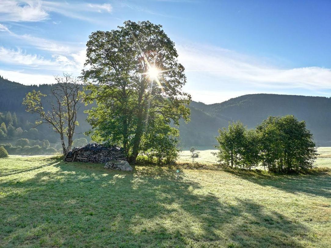 C4 Albmatte-Fewo Sauna, Hallenbad Aussenbecken Massagen Nebenan Menzenschwand-Hinterdorf Buitenkant foto