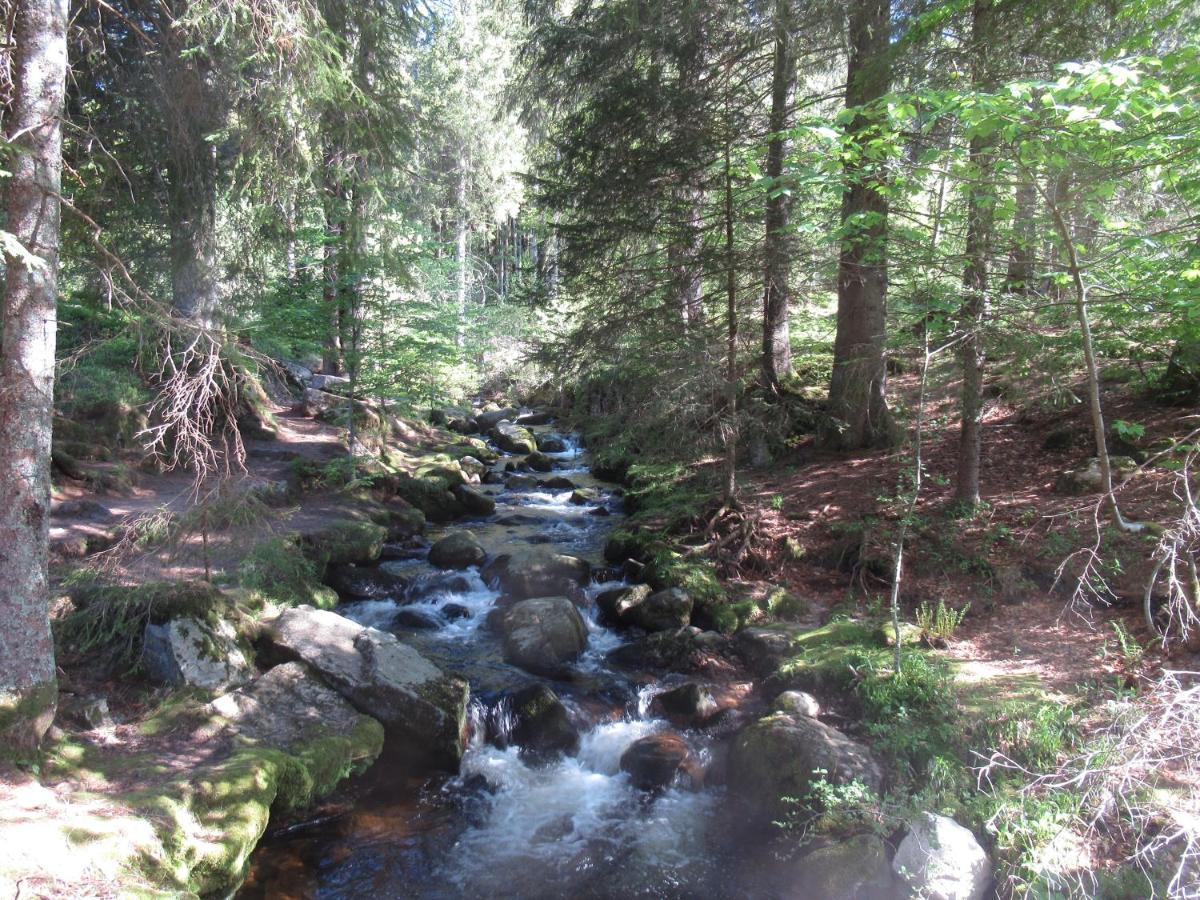 C4 Albmatte-Fewo Sauna, Hallenbad Aussenbecken Massagen Nebenan Menzenschwand-Hinterdorf Buitenkant foto
