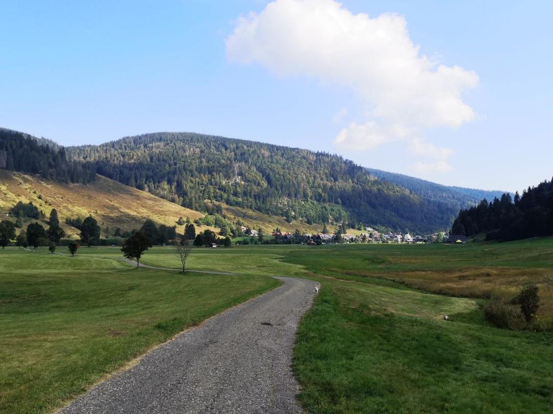 C4 Albmatte-Fewo Sauna, Hallenbad Aussenbecken Massagen Nebenan Menzenschwand-Hinterdorf Buitenkant foto