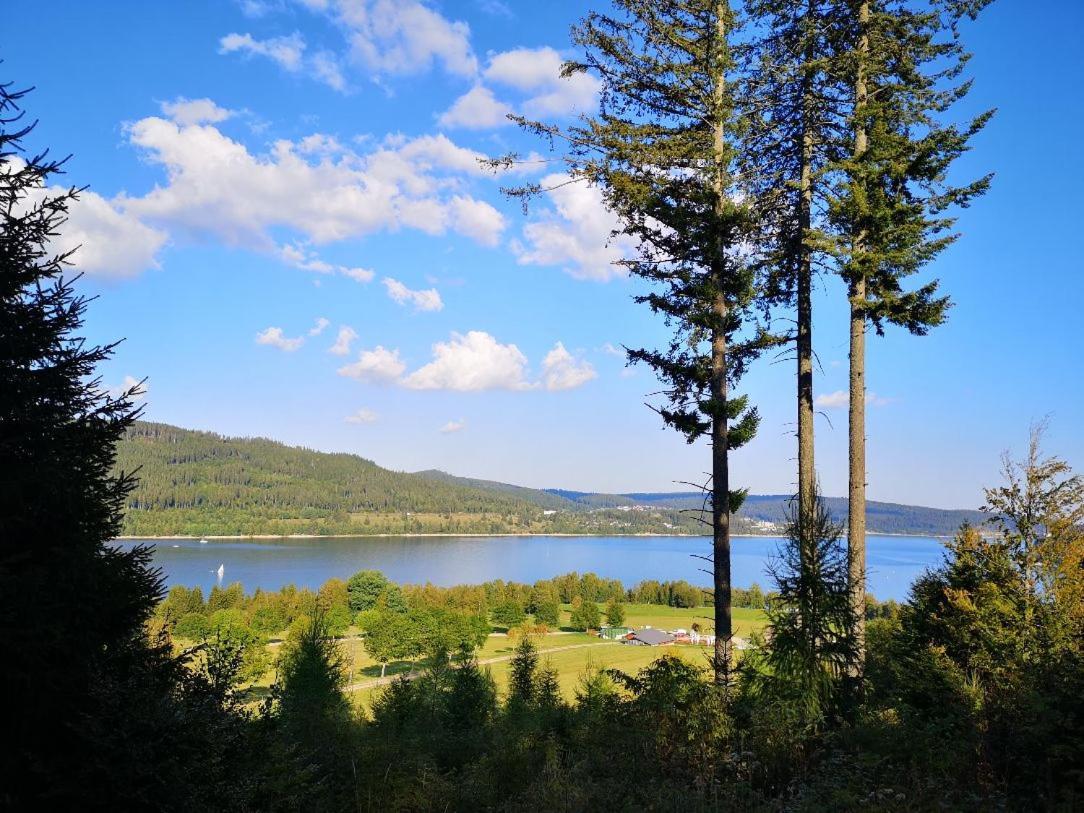 C4 Albmatte-Fewo Sauna, Hallenbad Aussenbecken Massagen Nebenan Menzenschwand-Hinterdorf Buitenkant foto