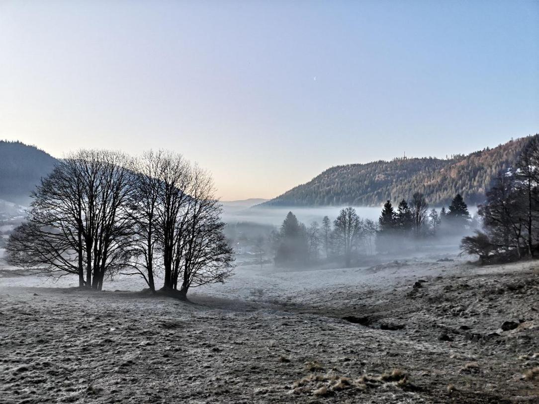 C4 Albmatte-Fewo Sauna, Hallenbad Aussenbecken Massagen Nebenan Menzenschwand-Hinterdorf Buitenkant foto