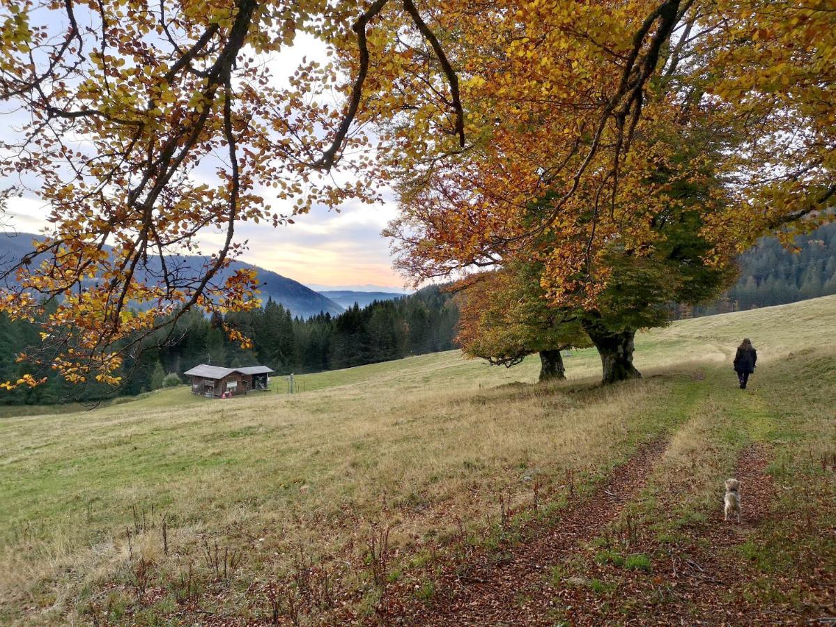 C4 Albmatte-Fewo Sauna, Hallenbad Aussenbecken Massagen Nebenan Menzenschwand-Hinterdorf Buitenkant foto