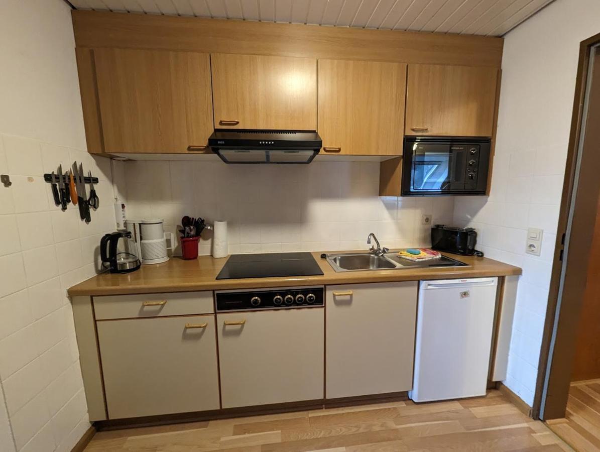 C4 Albmatte-Fewo Sauna, Hallenbad Aussenbecken Massagen Nebenan Menzenschwand-Hinterdorf Buitenkant foto