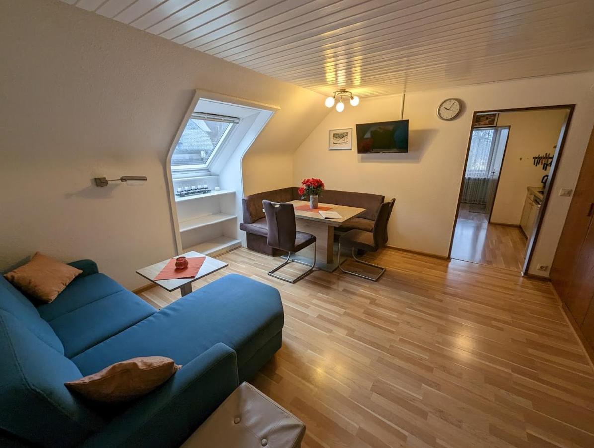 C4 Albmatte-Fewo Sauna, Hallenbad Aussenbecken Massagen Nebenan Menzenschwand-Hinterdorf Buitenkant foto
