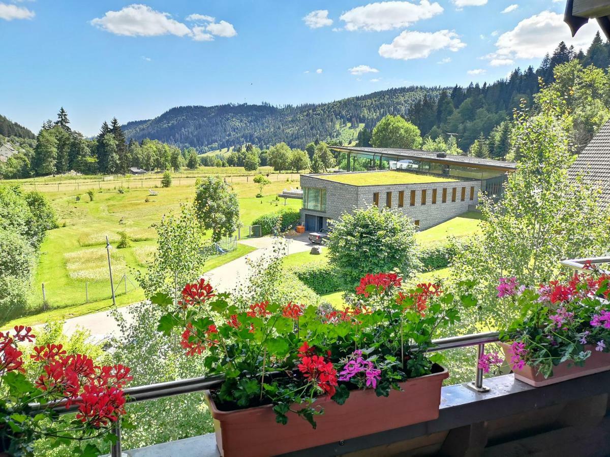 C4 Albmatte-Fewo Sauna, Hallenbad Aussenbecken Massagen Nebenan Menzenschwand-Hinterdorf Buitenkant foto