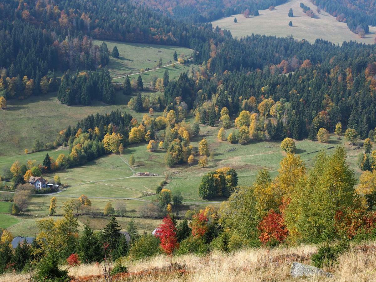 C4 Albmatte-Fewo Sauna, Hallenbad Aussenbecken Massagen Nebenan Menzenschwand-Hinterdorf Buitenkant foto
