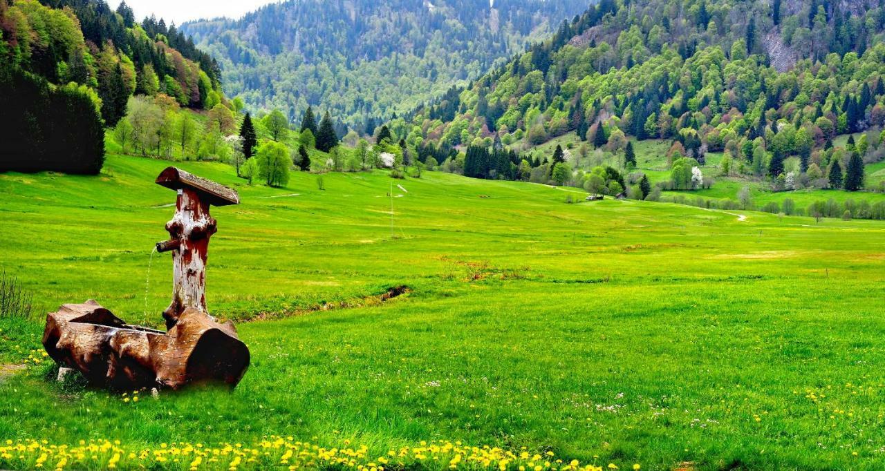 C4 Albmatte-Fewo Sauna, Hallenbad Aussenbecken Massagen Nebenan Menzenschwand-Hinterdorf Buitenkant foto