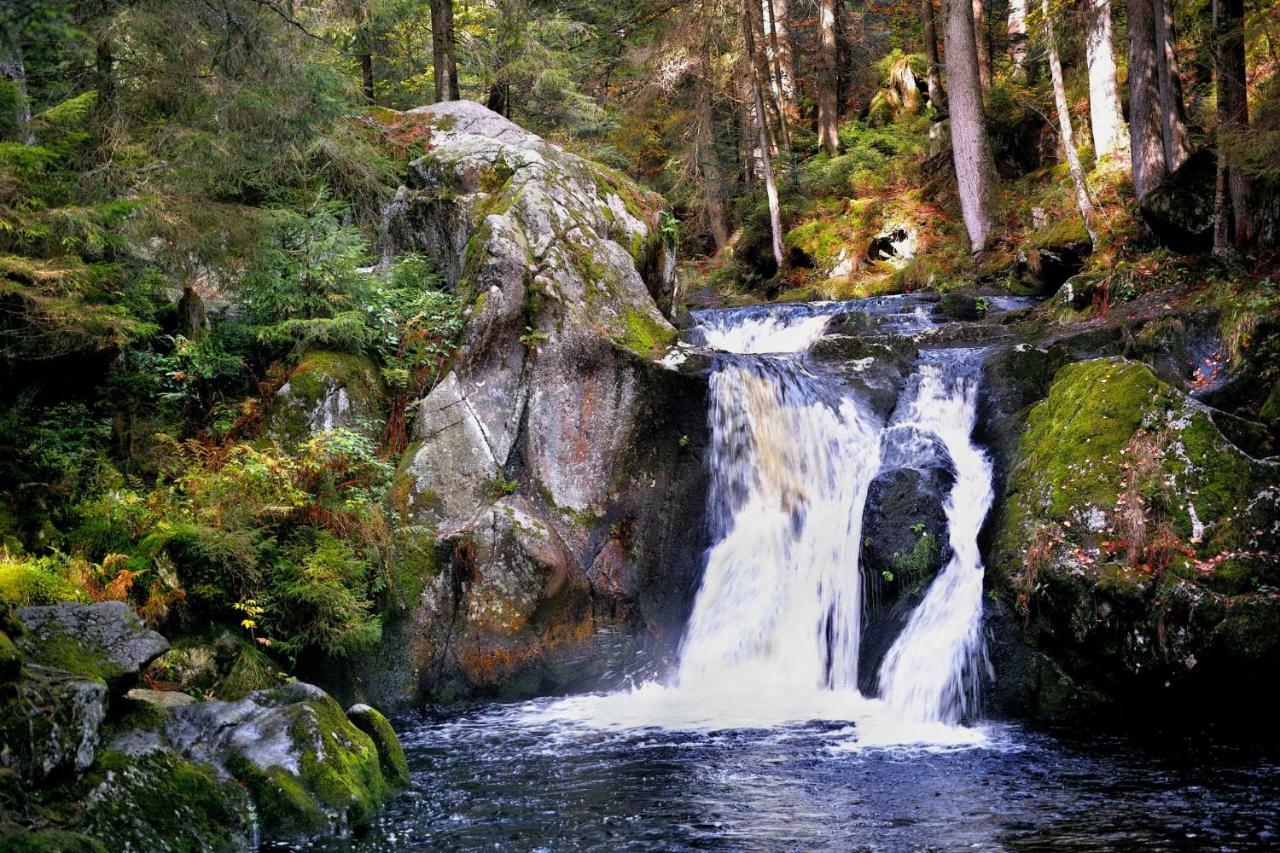 C4 Albmatte-Fewo Sauna, Hallenbad Aussenbecken Massagen Nebenan Menzenschwand-Hinterdorf Buitenkant foto