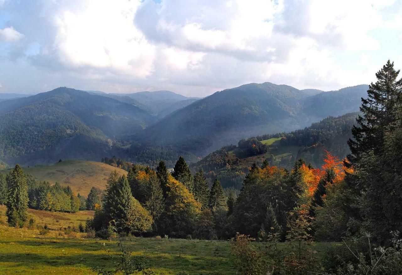 C4 Albmatte-Fewo Sauna, Hallenbad Aussenbecken Massagen Nebenan Menzenschwand-Hinterdorf Buitenkant foto