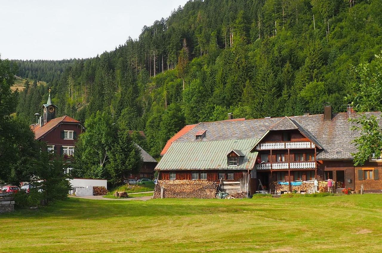 C4 Albmatte-Fewo Sauna, Hallenbad Aussenbecken Massagen Nebenan Menzenschwand-Hinterdorf Buitenkant foto