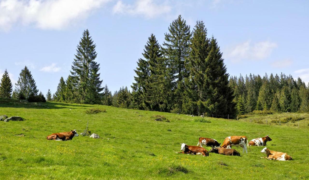 C4 Albmatte-Fewo Sauna, Hallenbad Aussenbecken Massagen Nebenan Menzenschwand-Hinterdorf Buitenkant foto