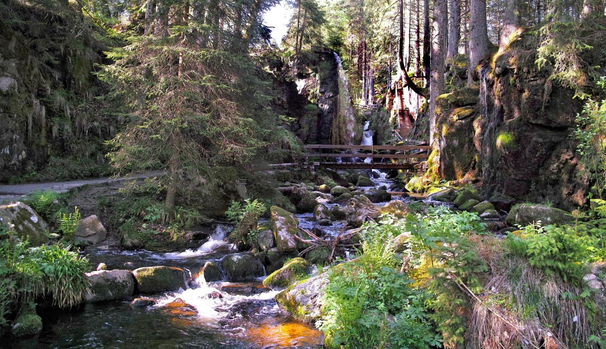 C4 Albmatte-Fewo Sauna, Hallenbad Aussenbecken Massagen Nebenan Menzenschwand-Hinterdorf Buitenkant foto