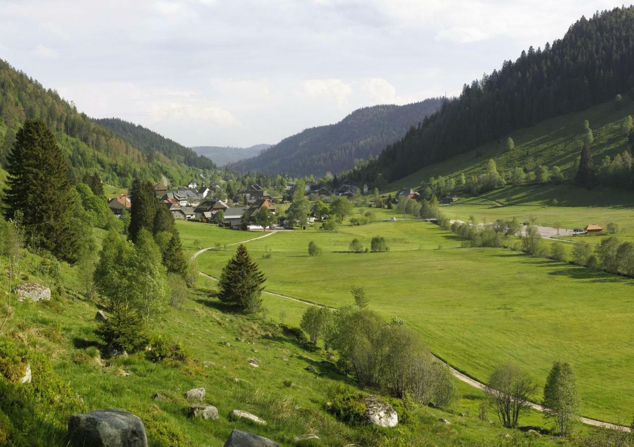 C4 Albmatte-Fewo Sauna, Hallenbad Aussenbecken Massagen Nebenan Menzenschwand-Hinterdorf Buitenkant foto