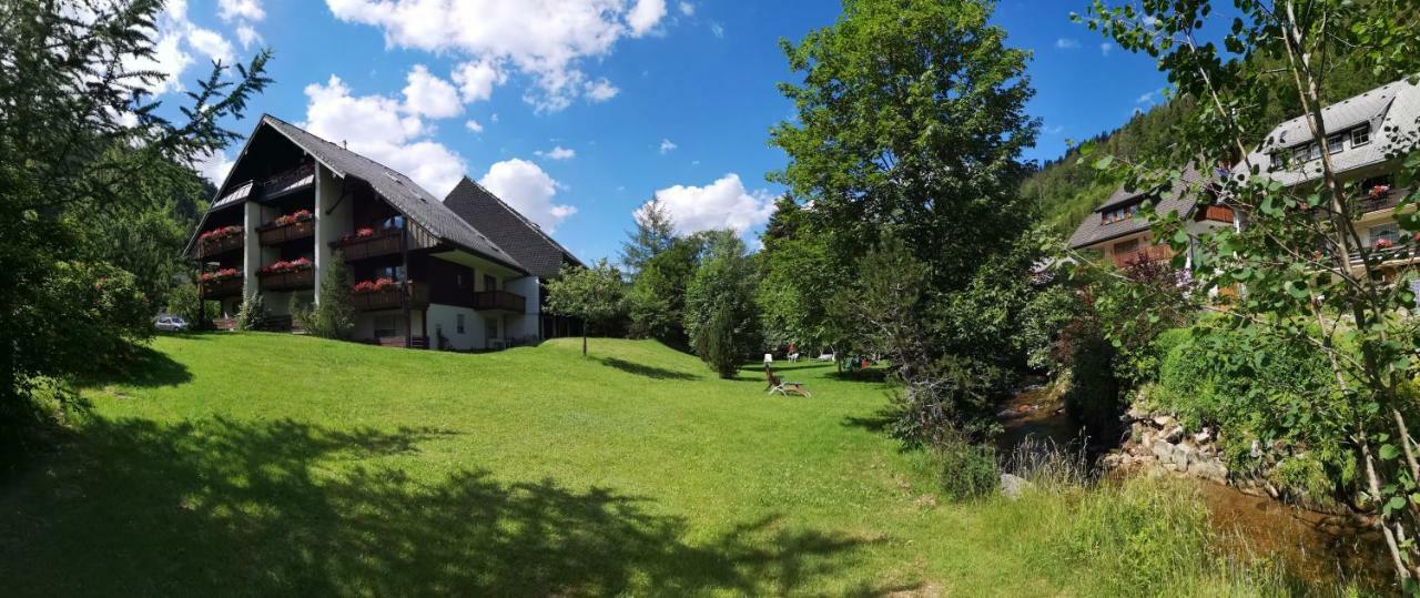 C4 Albmatte-Fewo Sauna, Hallenbad Aussenbecken Massagen Nebenan Menzenschwand-Hinterdorf Buitenkant foto