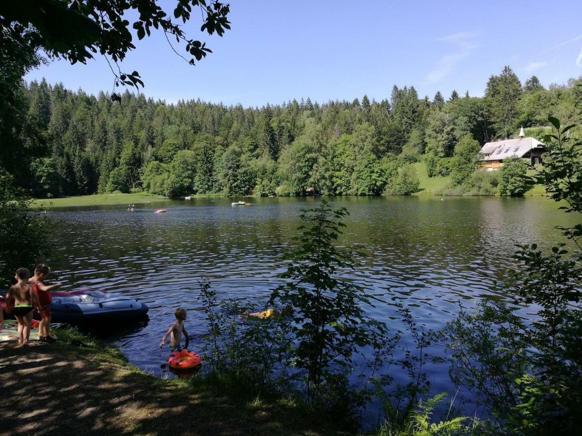 C4 Albmatte-Fewo Sauna, Hallenbad Aussenbecken Massagen Nebenan Menzenschwand-Hinterdorf Buitenkant foto