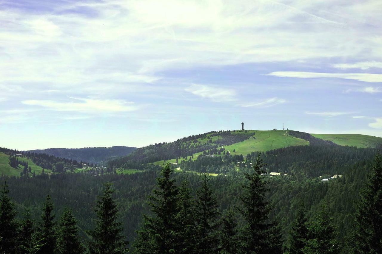 C4 Albmatte-Fewo Sauna, Hallenbad Aussenbecken Massagen Nebenan Menzenschwand-Hinterdorf Buitenkant foto