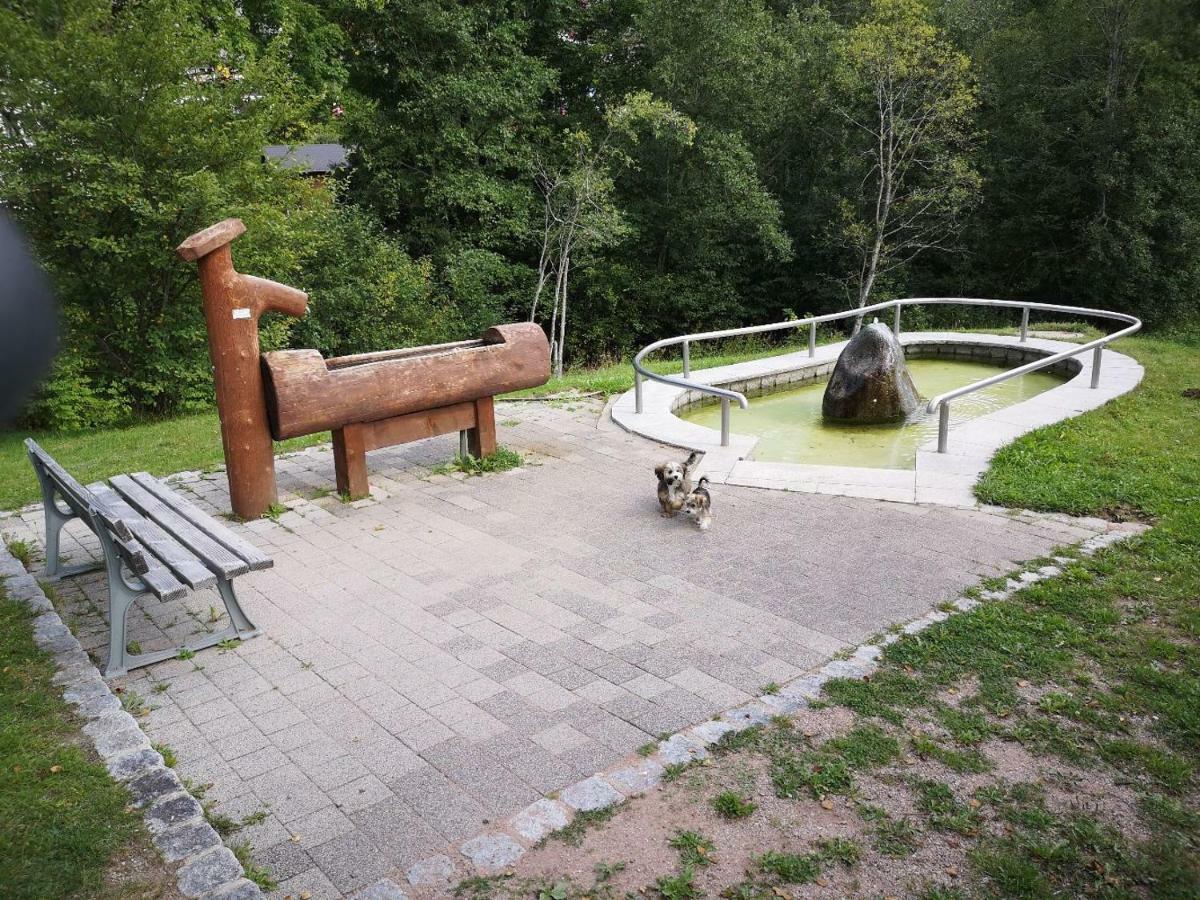 C4 Albmatte-Fewo Sauna, Hallenbad Aussenbecken Massagen Nebenan Menzenschwand-Hinterdorf Buitenkant foto