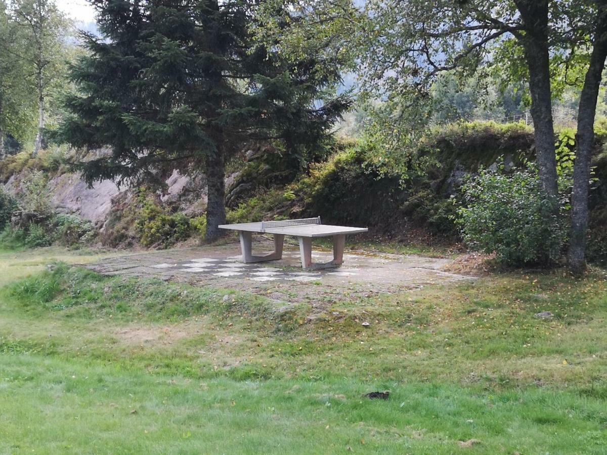 C4 Albmatte-Fewo Sauna, Hallenbad Aussenbecken Massagen Nebenan Menzenschwand-Hinterdorf Buitenkant foto
