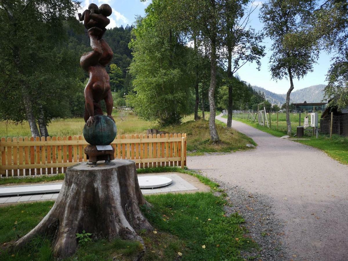 C4 Albmatte-Fewo Sauna, Hallenbad Aussenbecken Massagen Nebenan Menzenschwand-Hinterdorf Buitenkant foto